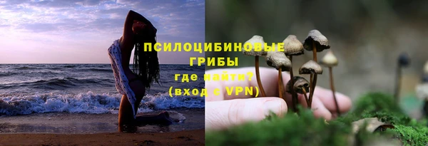 винт Баксан