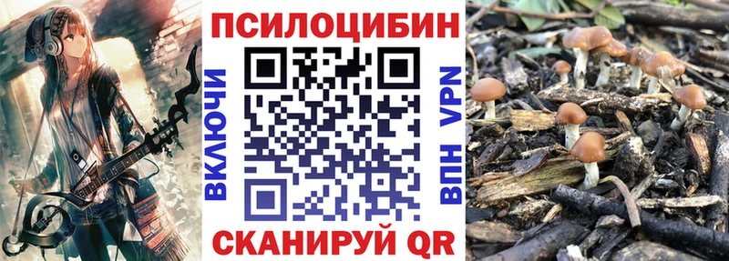 Галлюциногенные грибы GOLDEN TEACHER  shop Telegram  Белёв  купить  цена 